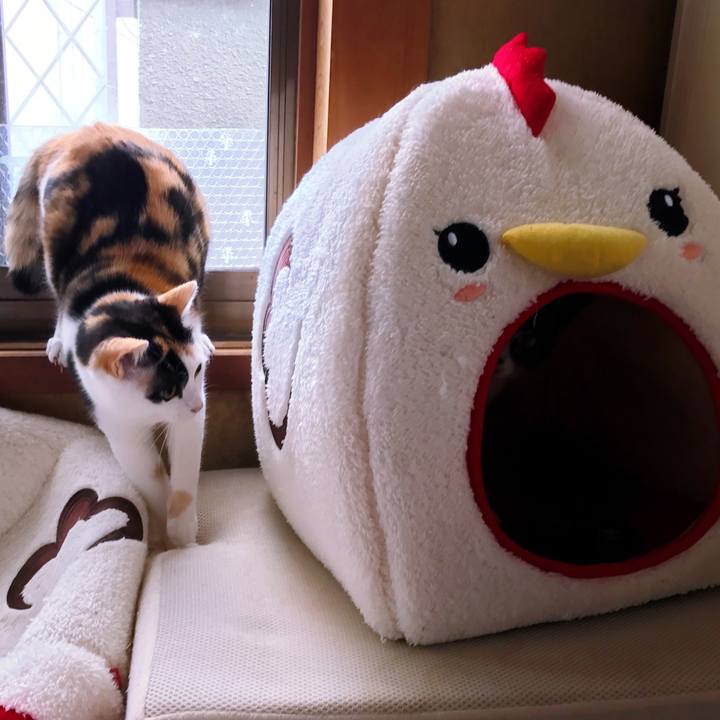 0b6b0c84 4147 4b6f aa26 a6c1f9835f7e