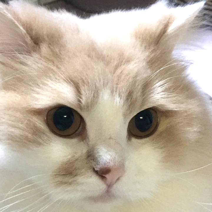 0b6bbe9d 0b21 4ffa 91c6 ec34bfe0d0bb