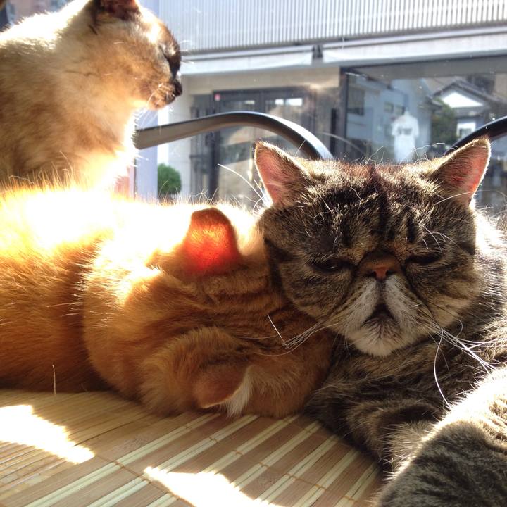 0b6c346d b3d4 4da8 83f1 4d8b361f9160