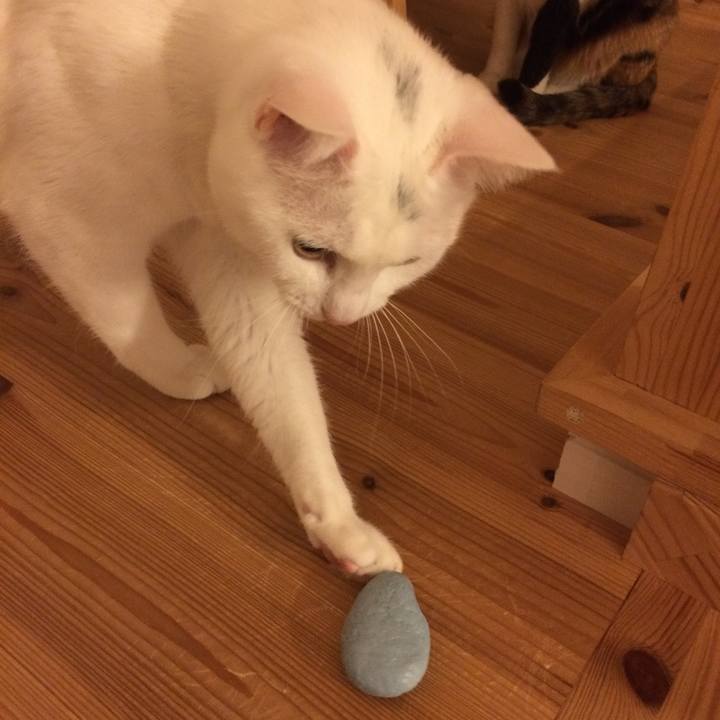 0b6cf0cd 1647 4e66 86eb d25013cfc527