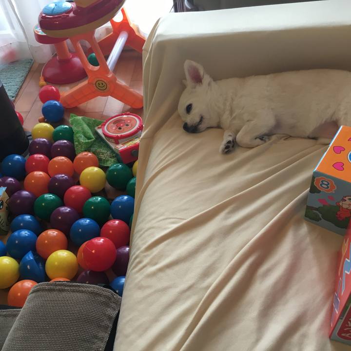 0b6d274c 0982 45f5 b1ae 2da2062a61d6