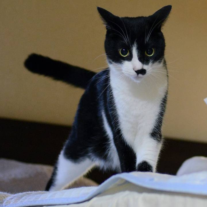 0b6e877b 509a 4fc9 8d84 6cc1d3fdb174