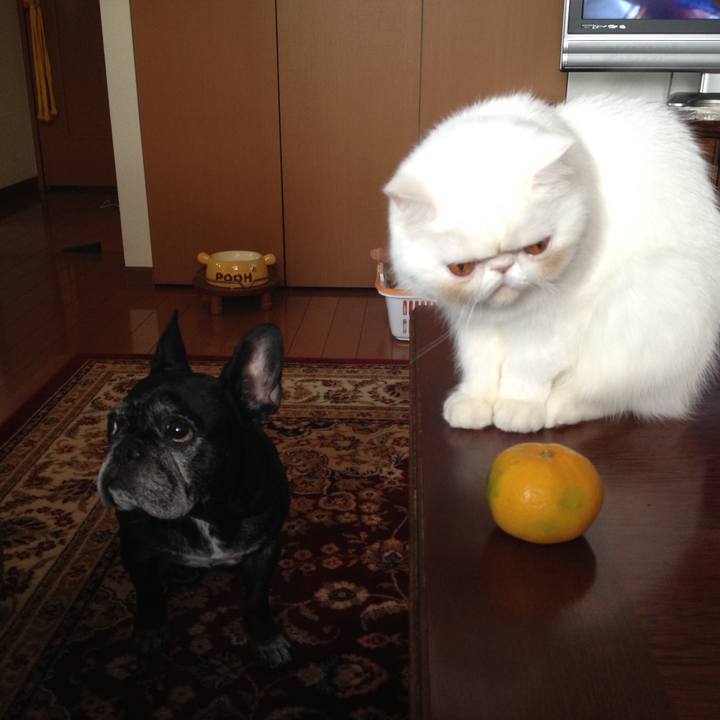 0b6ed83c 79bb 4113 979a ef61df954c43