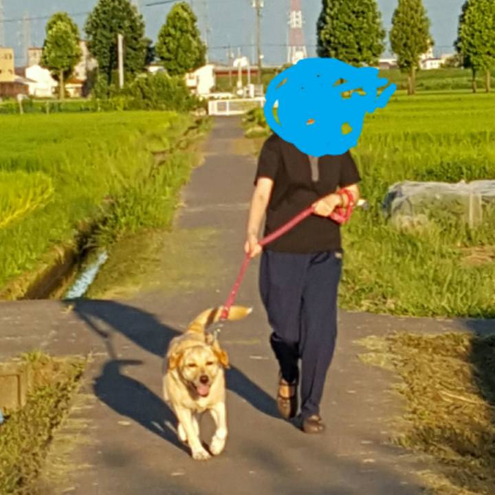 0b6f276d cf9b 45ed a35c 62145a417508