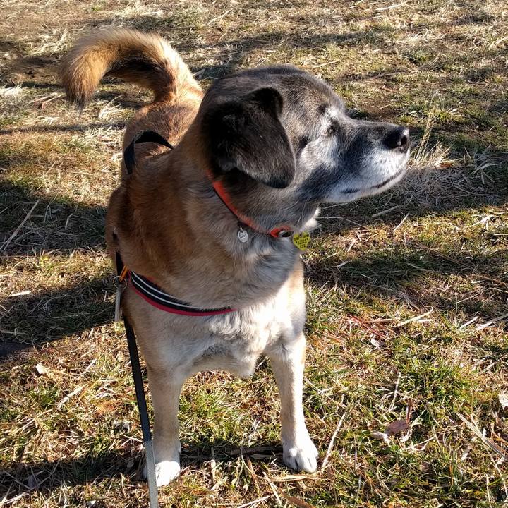 0b6f4053 6d19 401e 9845 12245a71af2a