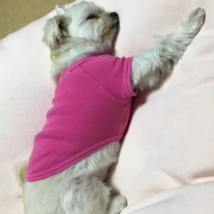 0b6f93a5 0985 47ef b1ba 9af42b697120