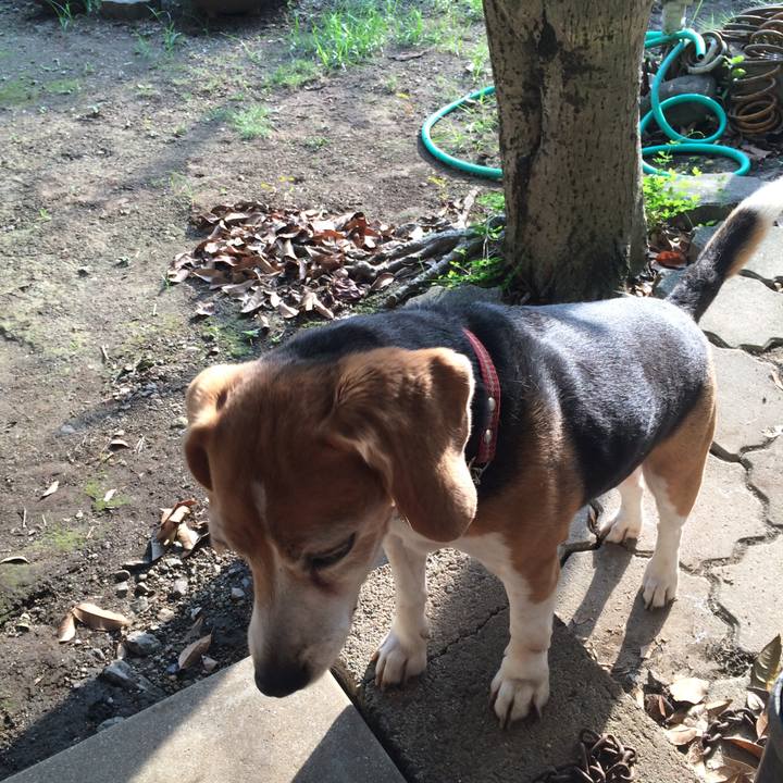 0b703d1f 7d43 4509 8b58 718aae70d23e