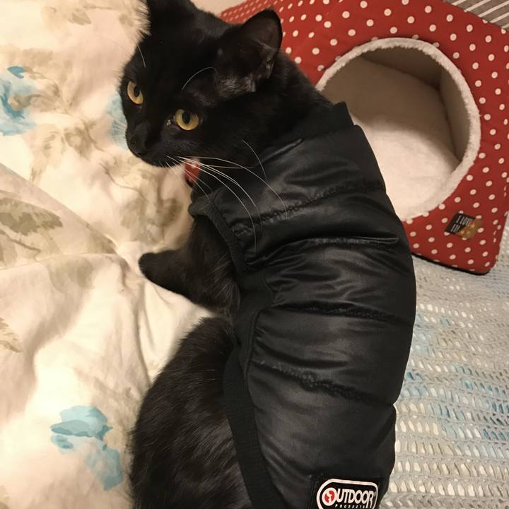 0b7079ed f382 49fa 89d4 06bf0ef61502