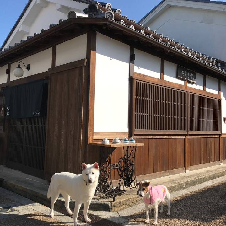 0b70c605 637e 4461 90ad c612b12ab5b9