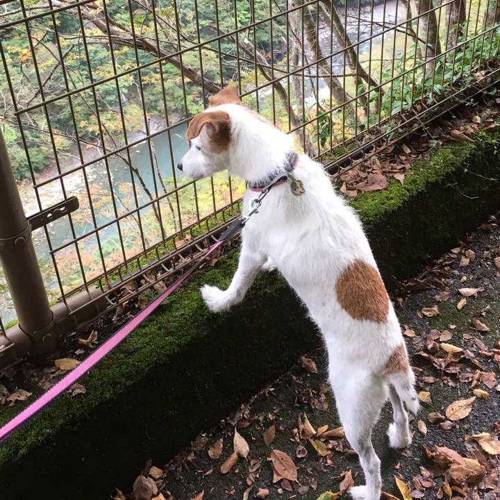 0b70c62c 38c1 4426 8e4f 4e6f5ff199fb