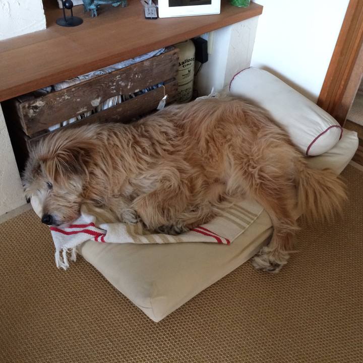 0b712e95 9158 40ba b028 535b47ef098a