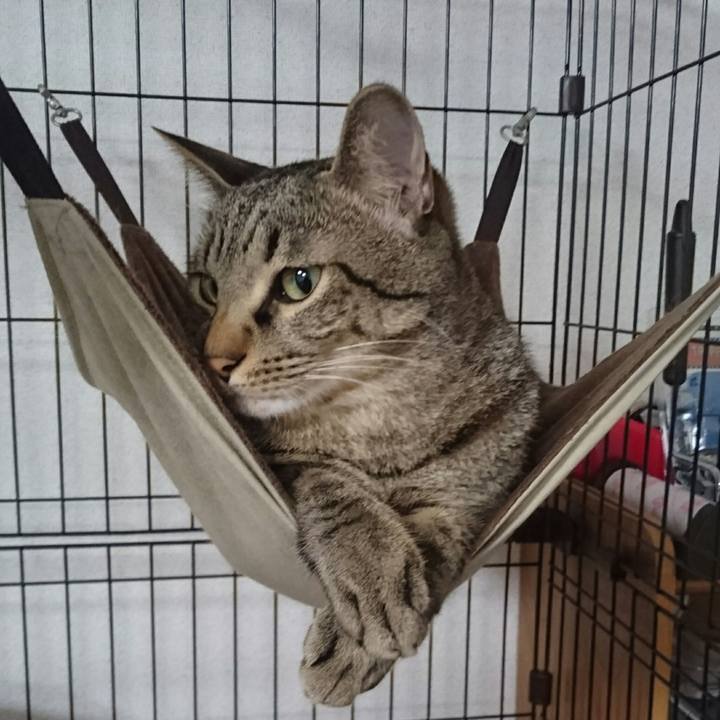 0b71865b f87a 4b5b 91b9 dbce27f3d97d