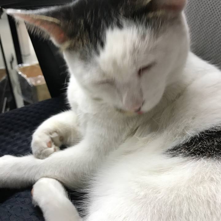 0b725aef 8d6b 46f2 8305 ea08a8ff2b3a