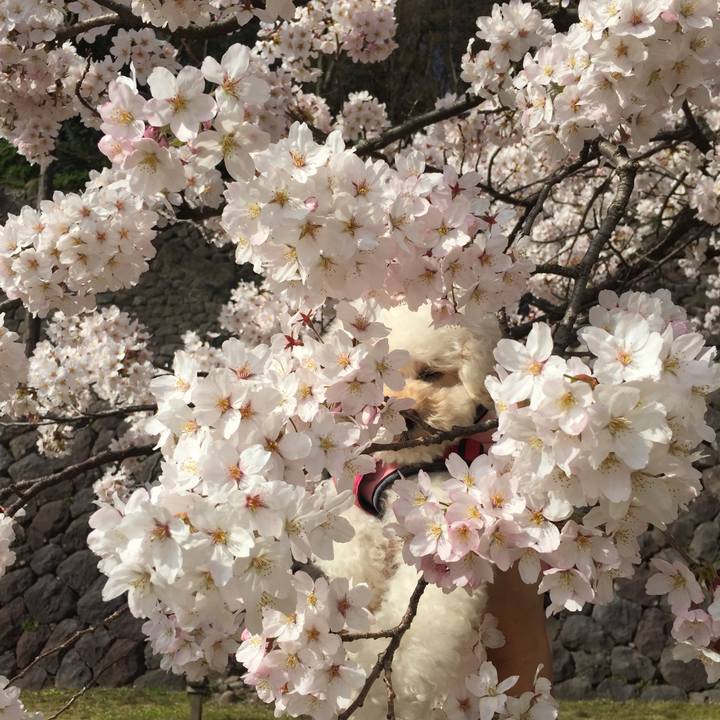 0b72a7e9 b793 49cf 8e34 de6da829d4af