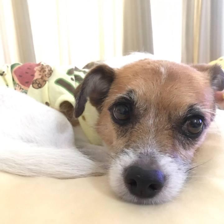 0b72e9e4 0fa5 4d7b 8070 b6cb59041d76