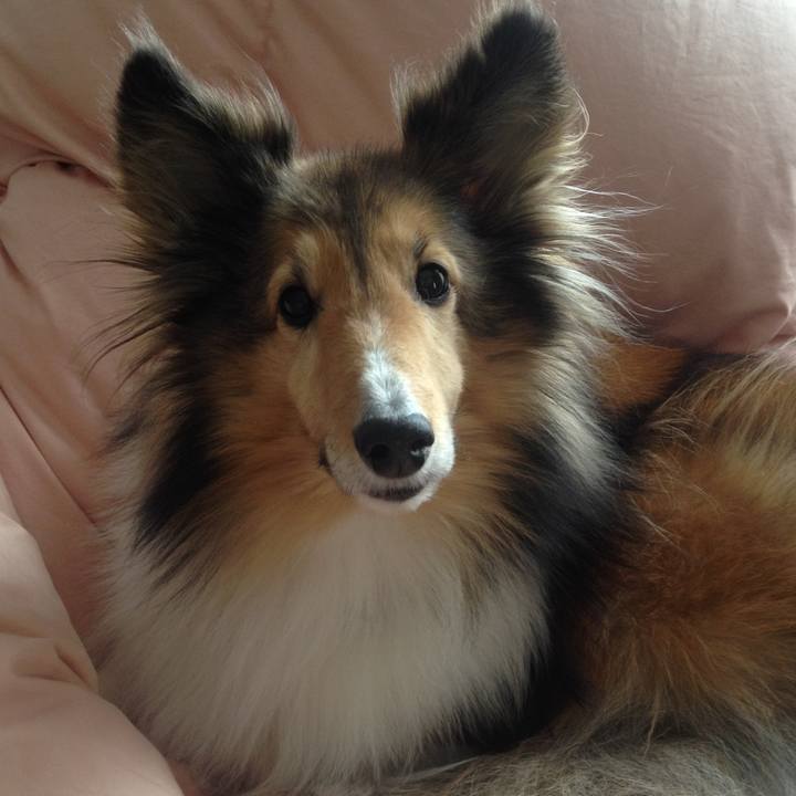 0b72ee83 688d 4a7f 9542 2fb983b435db