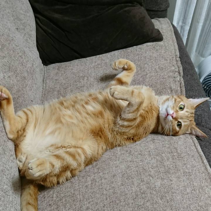 0b737611 9e40 460a a687 d0ac95f06795