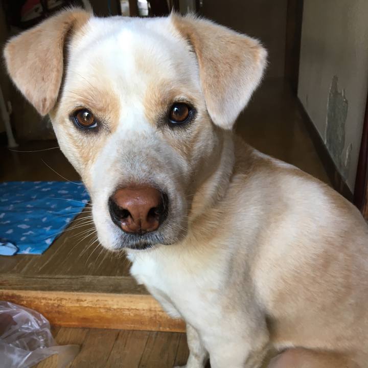 0b73f64b b84b 4733 b33f c58defef8bef