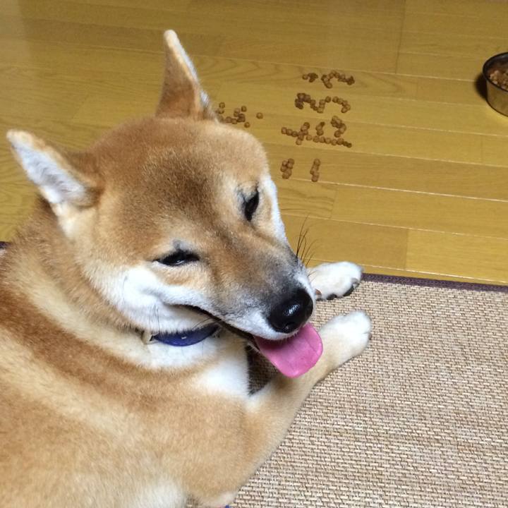 0b742643 2e87 408e 9126 f07422eb355f