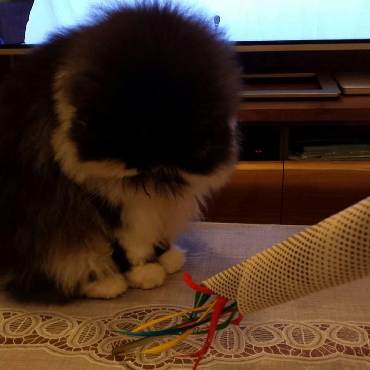 0b744456 eb61 4fe5 923b eafa098dbb16