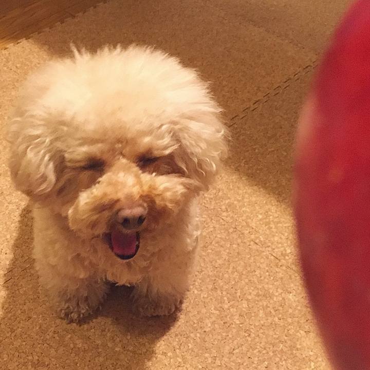 0b74d45d ee62 4540 a8b1 d04f0413b713