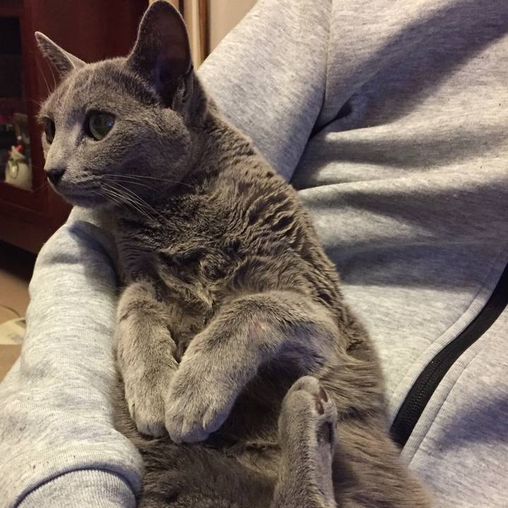 0b758fee 69b0 4c32 8222 5a14bfac416e