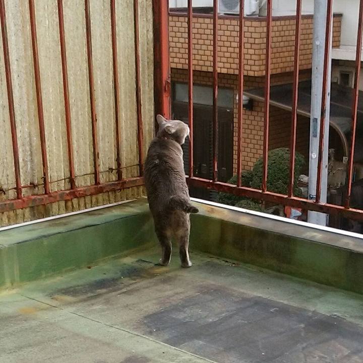 0b769028 d4d8 4251 becc 2f6df2872730