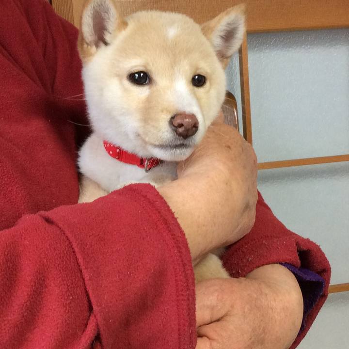 0b7732f3 d6f2 41b1 a383 5715277c0172