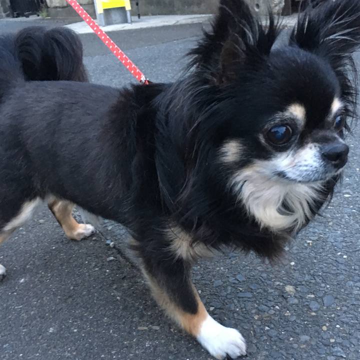 0b783d31 52a4 4758 9a06 1571d6d83580