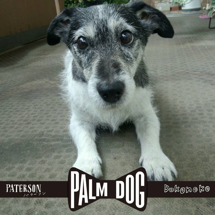 0b784133 69b5 42ef ac8b a3b0d13d3461