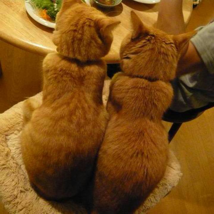 0b7865ee 9be8 4f25 9329 26be338e2819