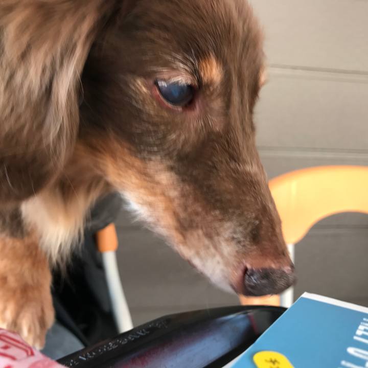 0b789e41 fbd1 44f9 a81a f3078a9b8dad