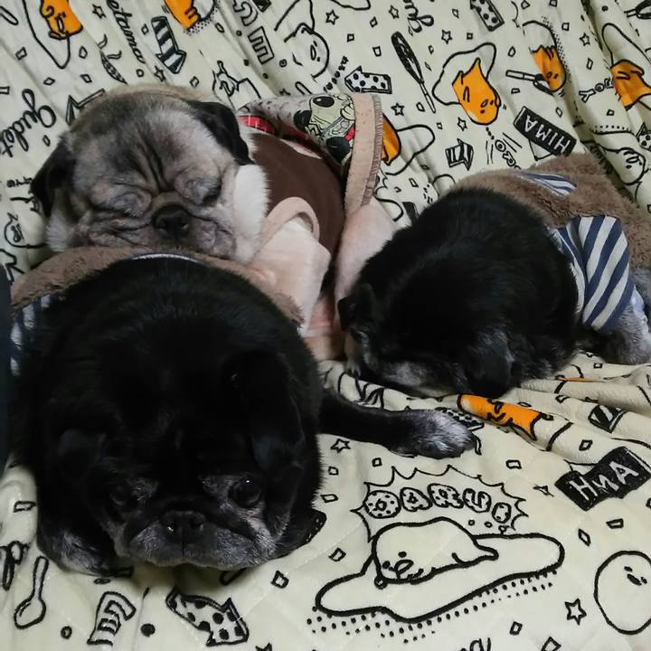 0b78a799 3d3e 4c3f 8040 eb1c3d28bf9f