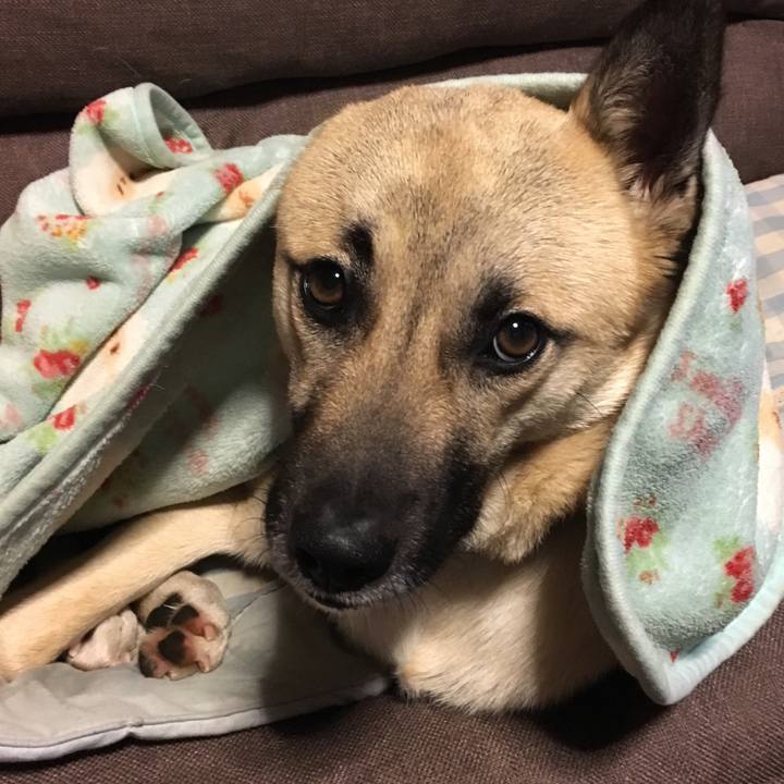 0b78c5cb cd9d 4872 9b61 fb6ac9ad4c3c