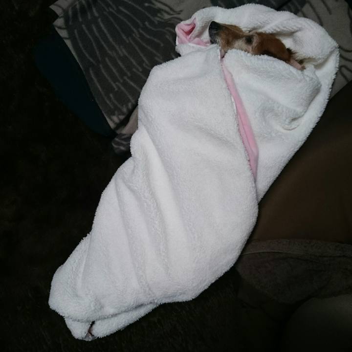 0b7963ef d81b 4454 a29c 5b278bd73248