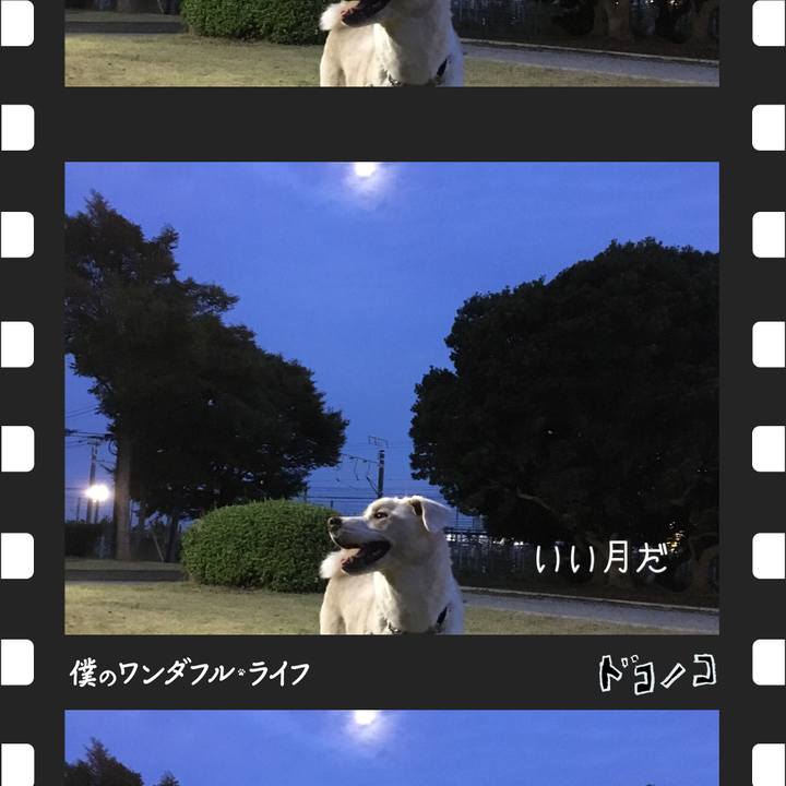 0b79d16e 71b8 41e5 943f d15de735f1f4