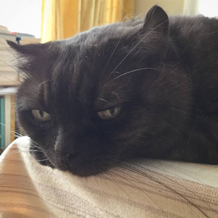 0b79fcf5 c024 45fa ab2d 9bfed295bb27