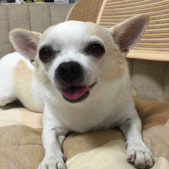 0b7a950e 7f5f 435d 844e f059b84f46c0