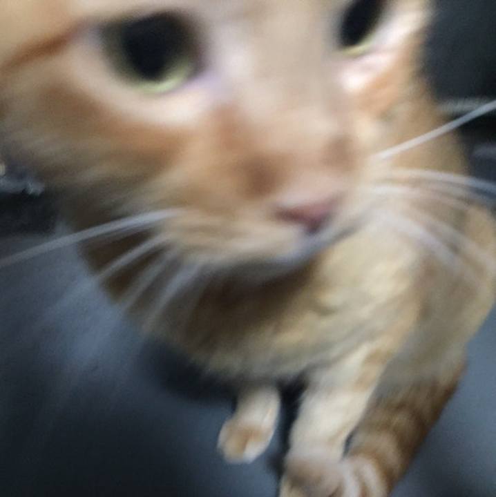 0b7adf2e fa4c 40e9 976c 378ca3d0a20c