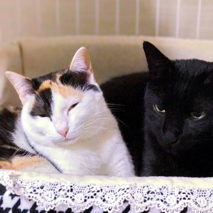 0b7b8010 9f98 422f 9ff8 1f27539868cf