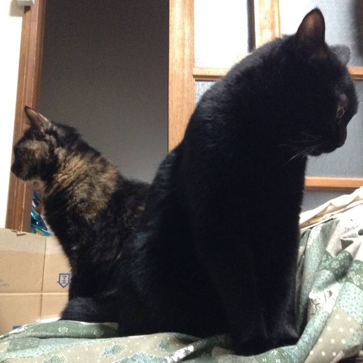 0b7c2f22 a134 4010 b464 b0c35ce87893