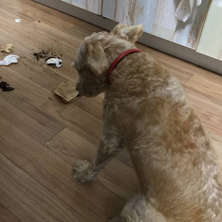 0b7c51be 59ce 4fb7 84cb 56d8a37d52a0