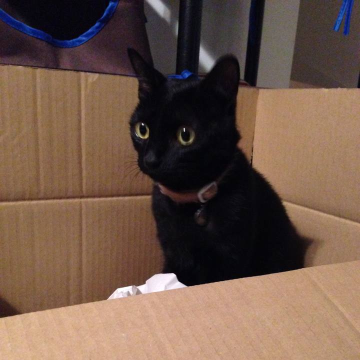 0b7c6671 7b5b 461a 9b93 94d32e0eb305