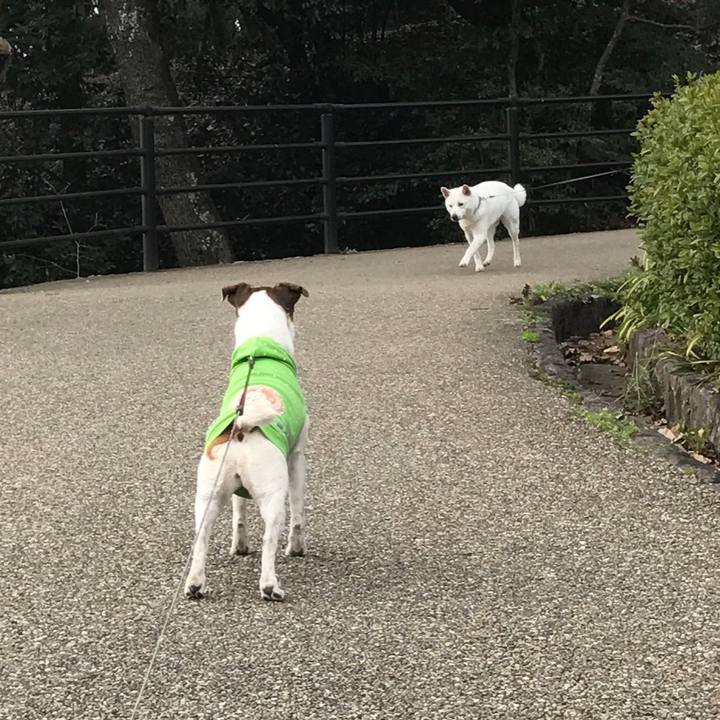 0b7d35f4 f2b7 427b 8b94 19e2146f4abb