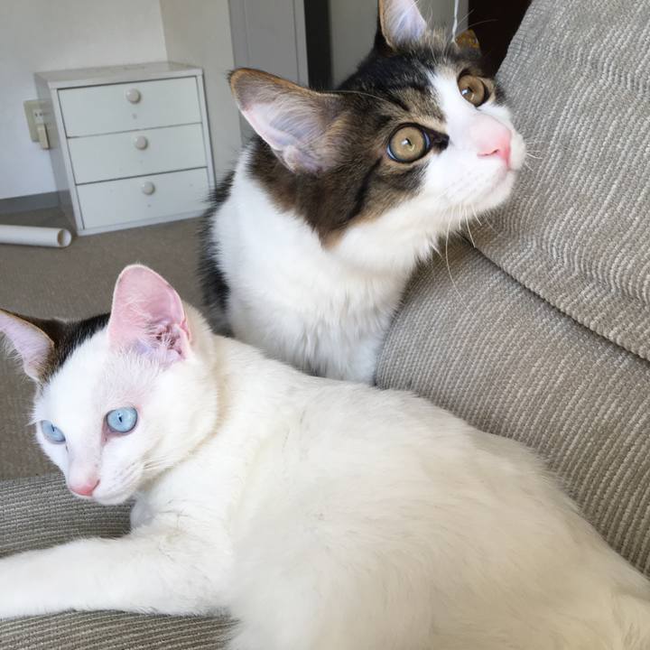 0b7d3d02 70bb 4348 adf5 07f6883f8526