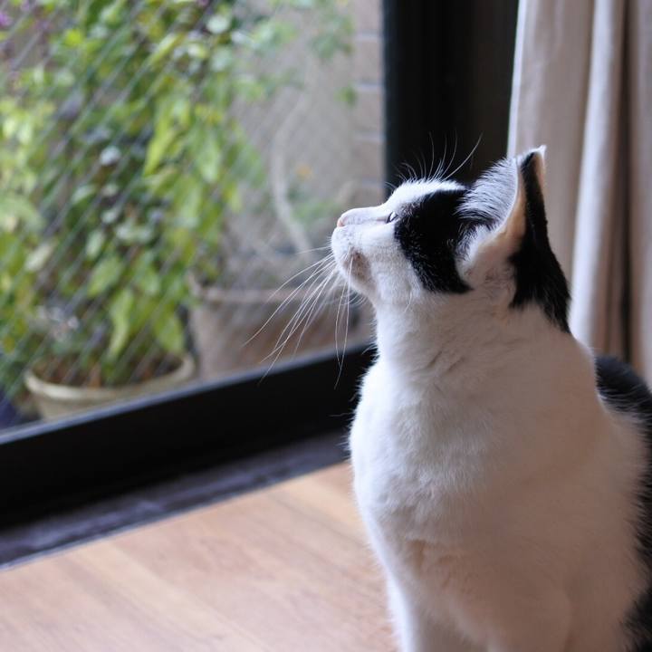 0b7d7fa0 c8b1 4343 bdef 74bdee662ead