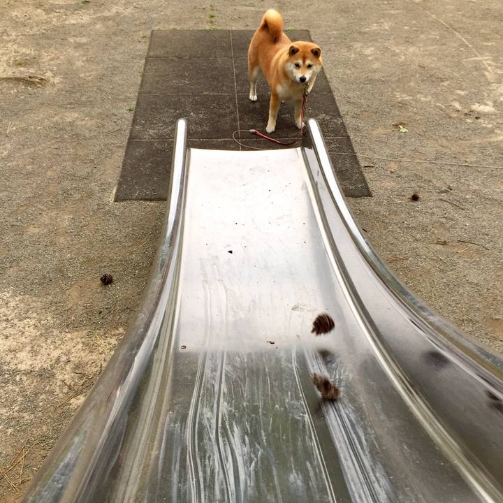 0b7dc911 c218 4b73 97e8 7b1ce4ce2cf7