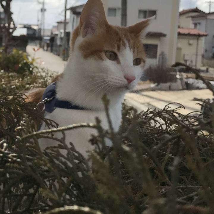 0b7e16d6 27a6 4a80 823f a4228e92bbb1