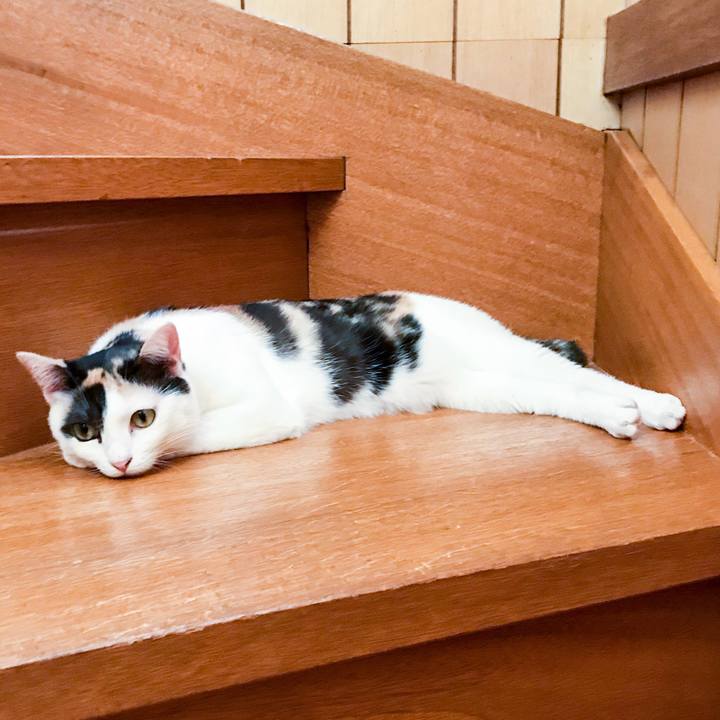 0b7e3c31 f061 4a18 baa5 67a282afb84e