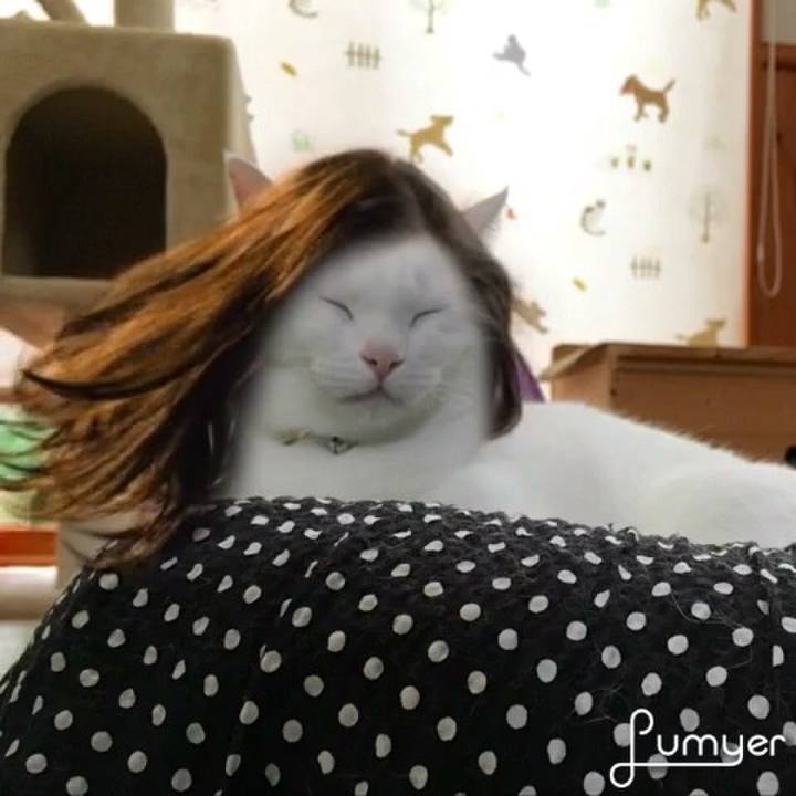 0b7f638c 6720 4159 90b5 0c17594fc10d